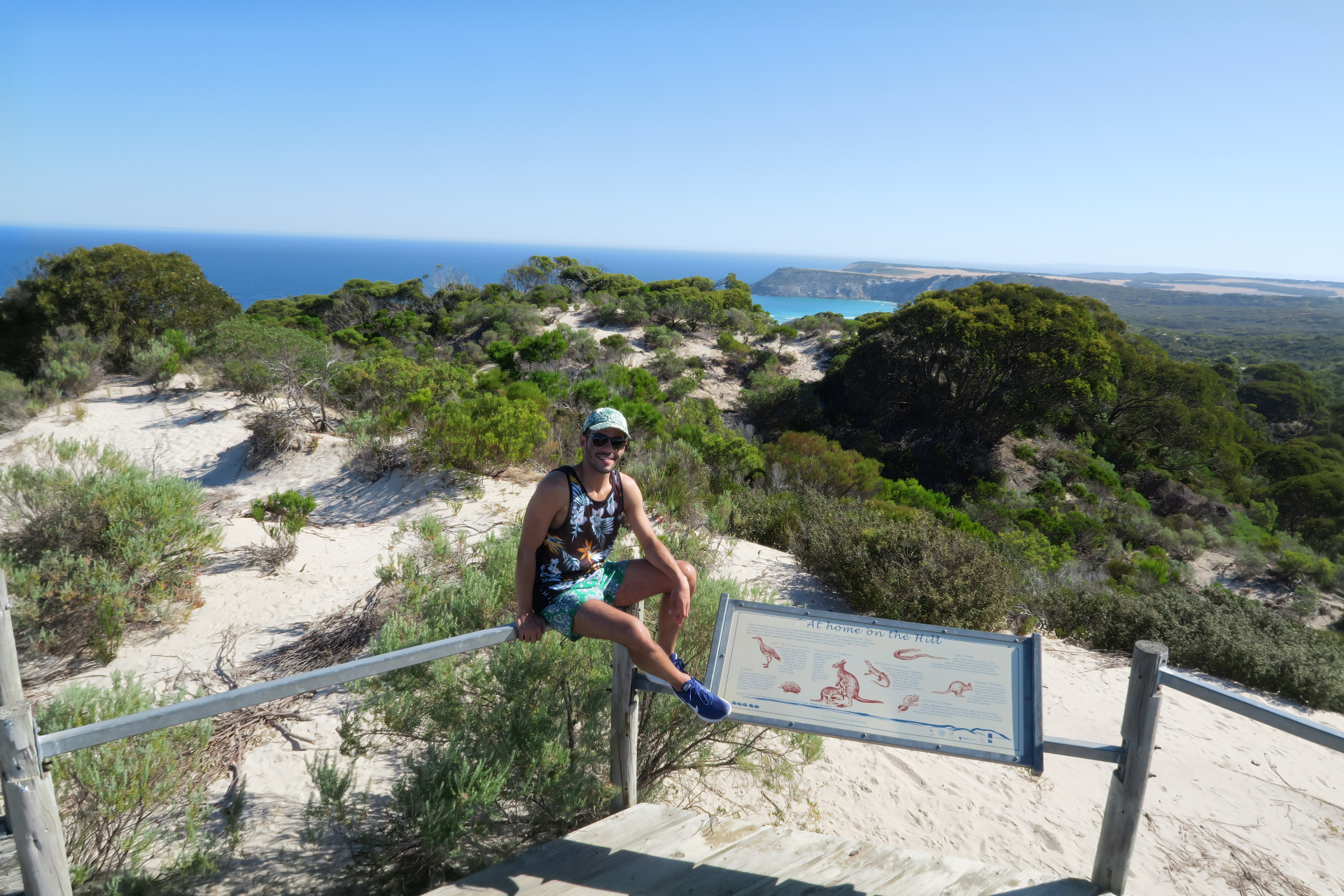 Daniel overlooking the Australian coastline from a scenic lookout